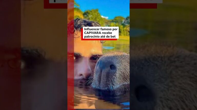 🦫 🤳🏻 Os influencers que ganham fama exibindo animais selvagens como pets