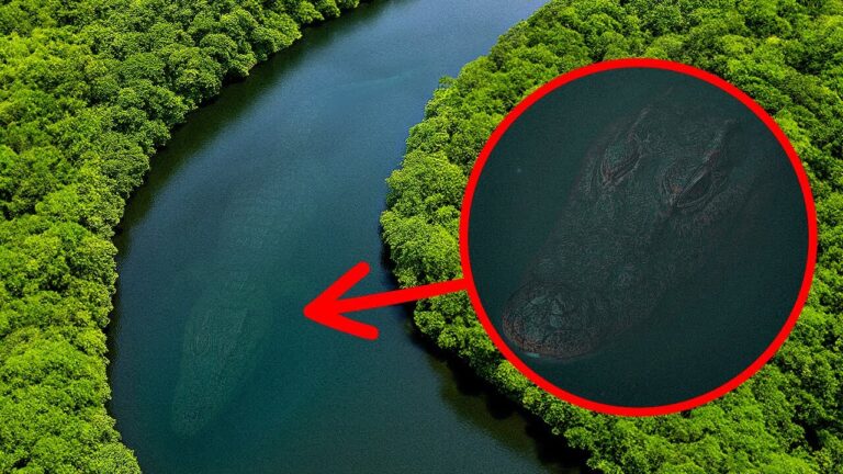 Descobertas misteriosas que a água tentou manter em segredo