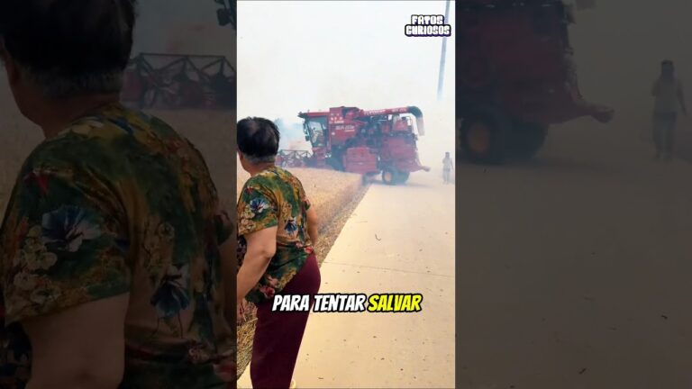 A NOBRE ATO DE HEROÍSMO DESSE GAROTO SALVOU MESES DE TRABALHO DE SUA FAMÍLIA
