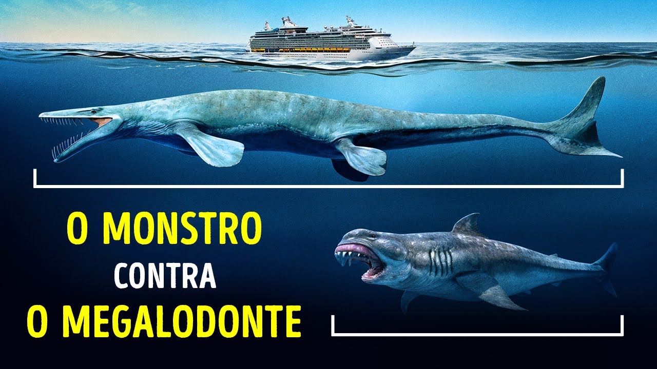 Este réptil marinho é o maior que o mundo já viu