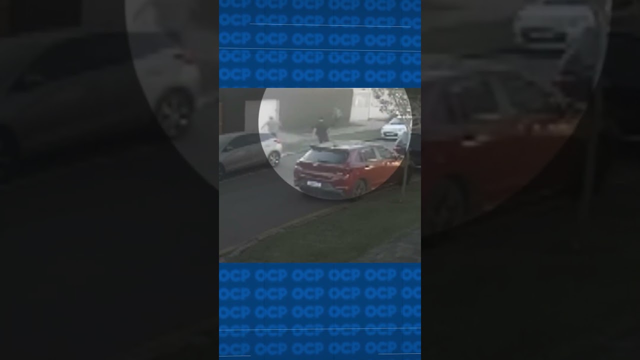 Grávida é atacada por 13 cães em rua de Curitiba