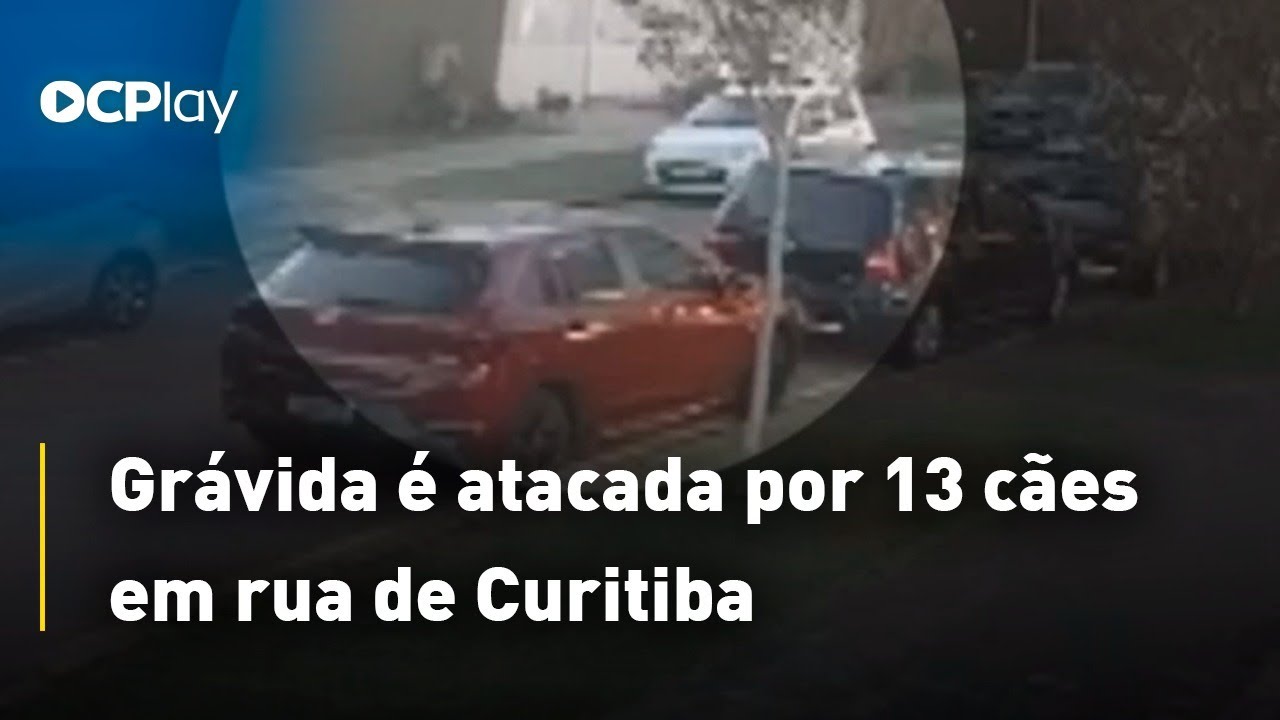 Grávida é atacada por 13 cães em rua de Curitiba
