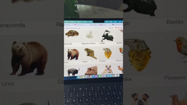 Melhor site de PNG do mundo