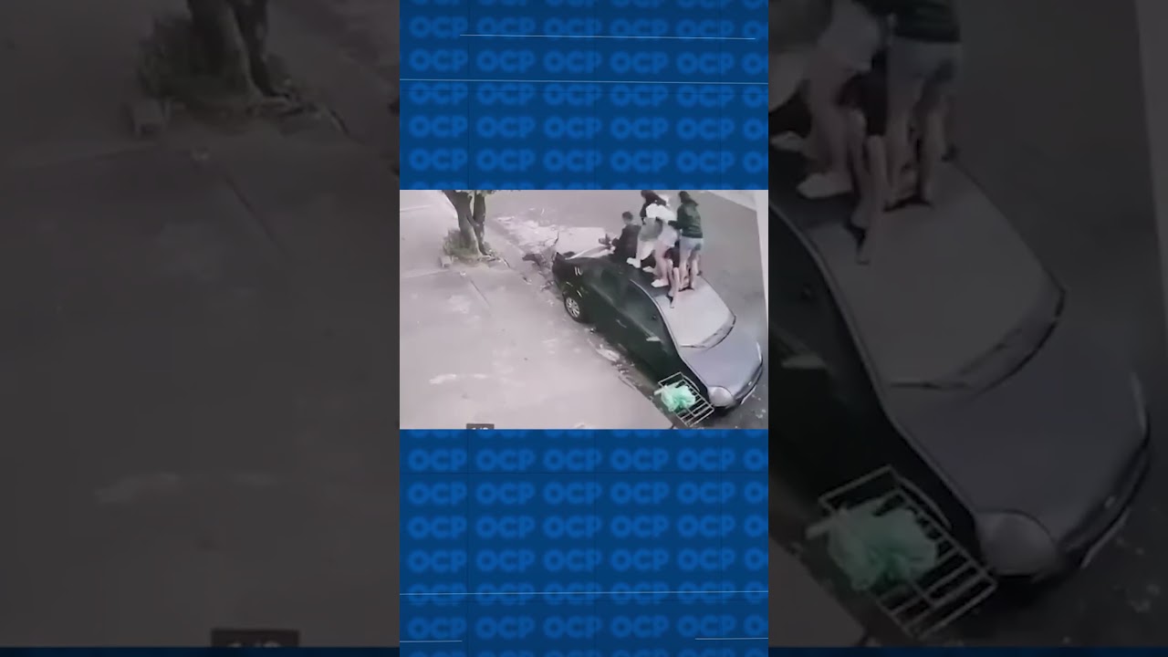 Pitbull ataca crianças e adolescentes em SP