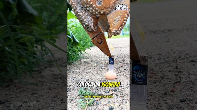 APÓS MUITOS CRITICAREM ESSA GAROTA FEZ O DESAFIO MAIS DIFÍCIL COM UMA ESCAVADEIRA