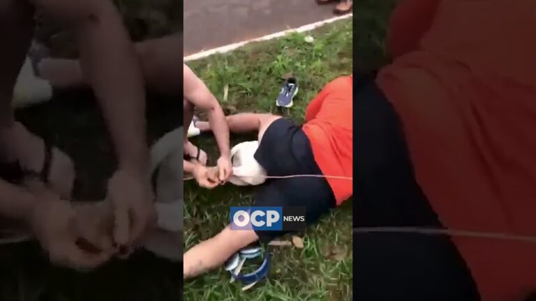 Cães Pittbull atacam professor de artes marciais
