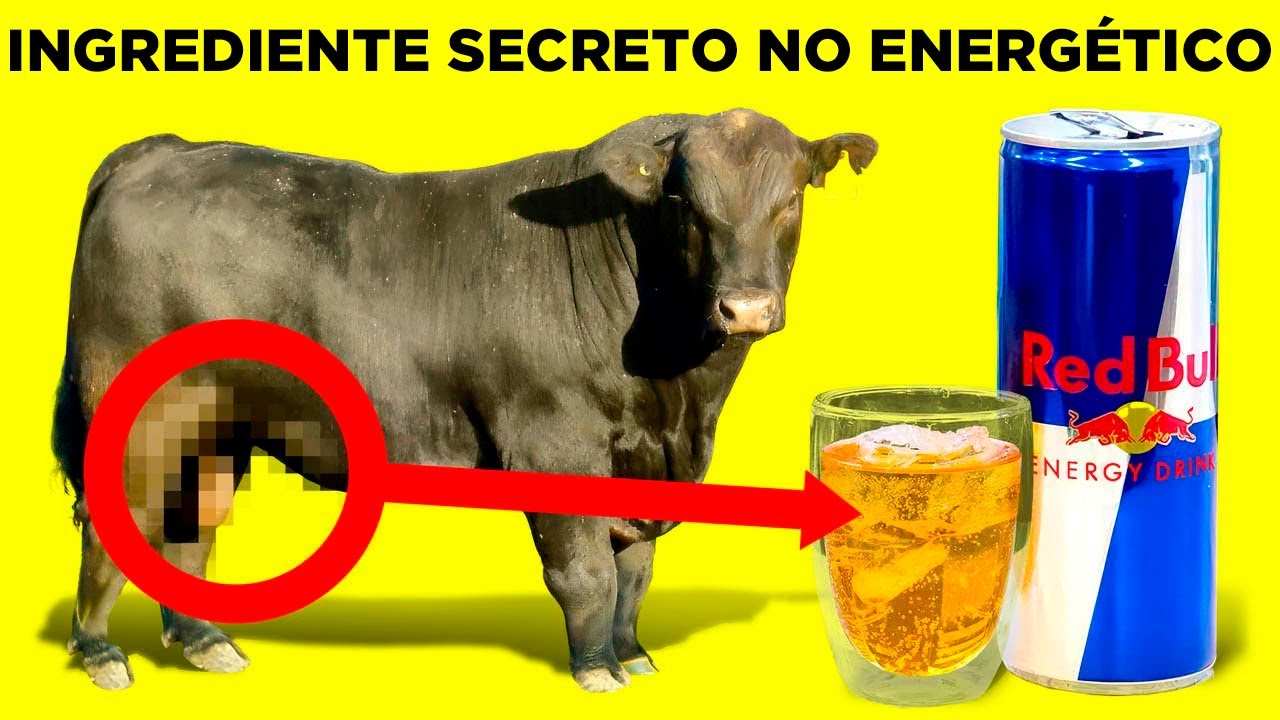 Você Nunca Mais Vai Comprar Essas Coisas Depois De Saber Como São Feitas