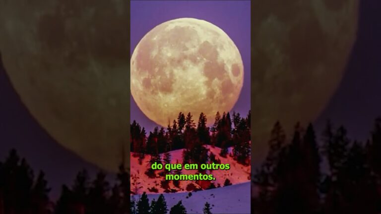 Chuva de meteoros e Lua dos Cervos: o calendário astronômico de julho