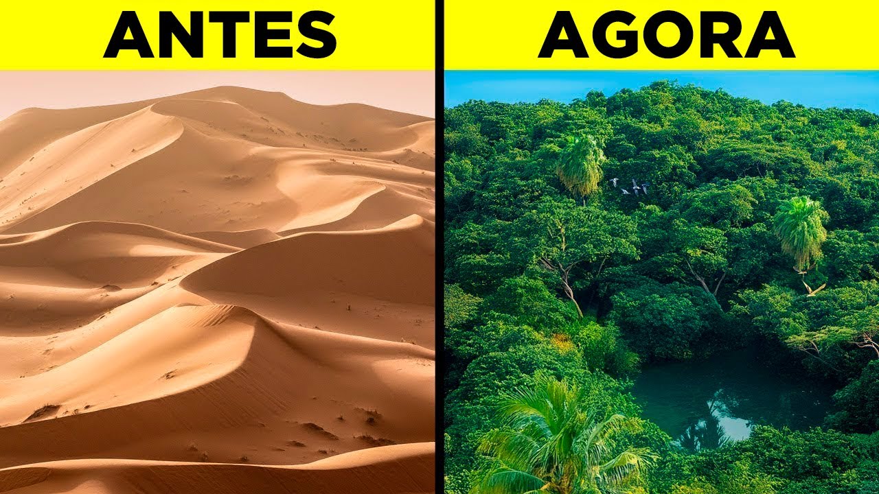 Como O Deserto Do Saara Está Se Transformando Em Uma Floresta