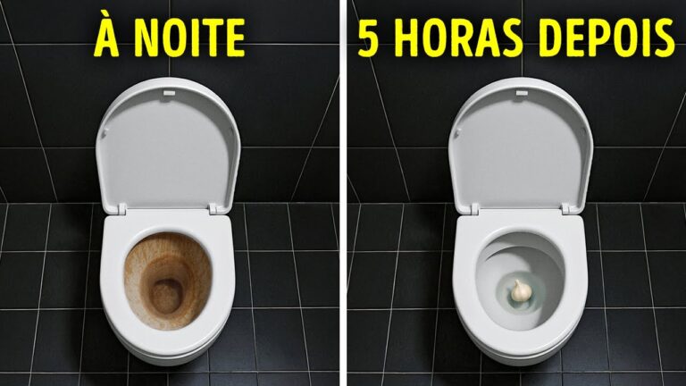 Dicas surpreendentes que você vai se perguntar como viveu sem elas