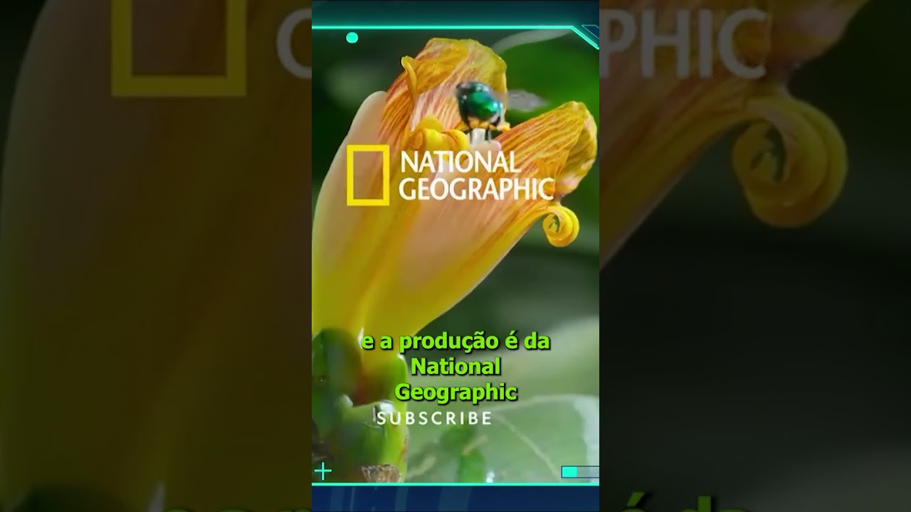 Disney Plus: documentário sobre o furacão Katrina é destaque na semana