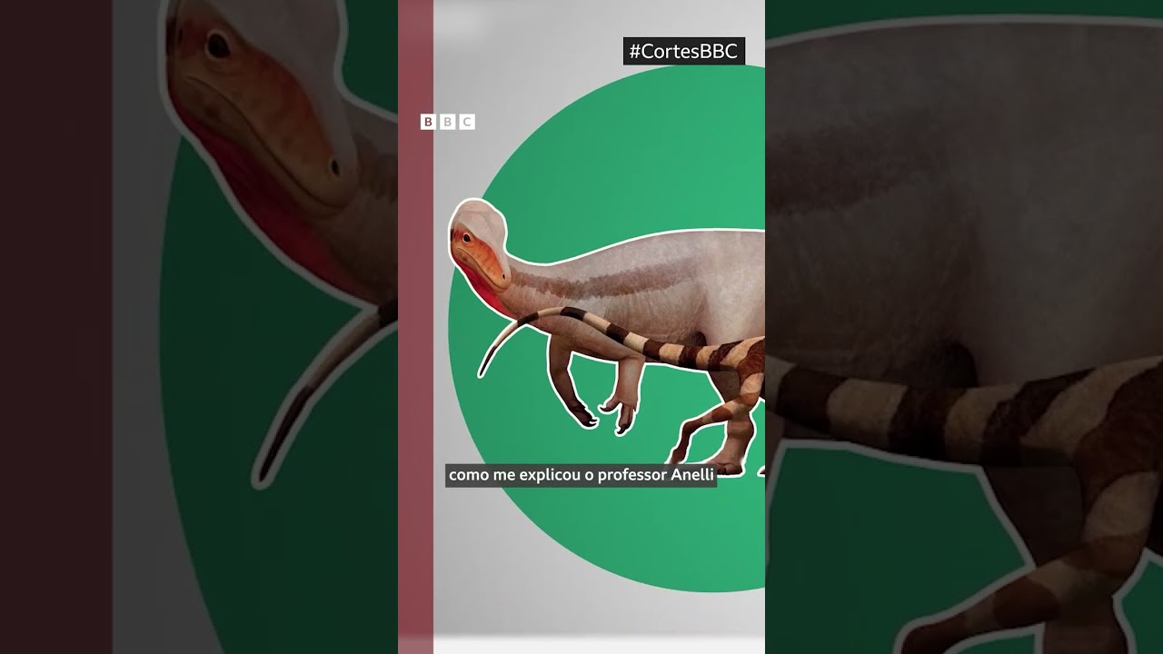 Quantos dinossauros 'brasileiros' você conhece? 🔍🦖🦕🇧🇷