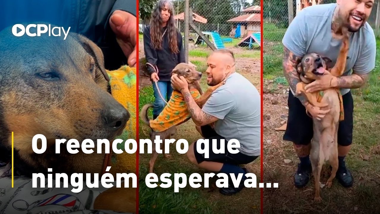Cão e tutor se reencontram após mais de 1 ano separados por enchente no RS
