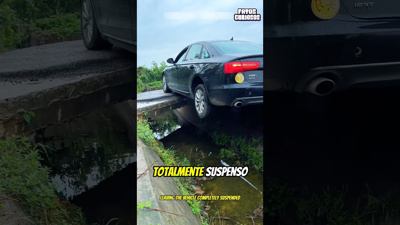 ESSA MULHER MOSTROU SUA INCRÍVEL HABILIDADE AO VOLANTE