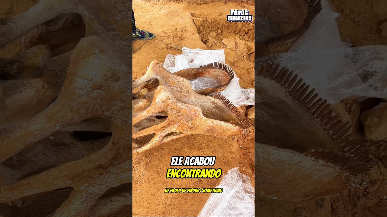 ESSE É O HOMEM MAIS SORTUDO DO MUNDO