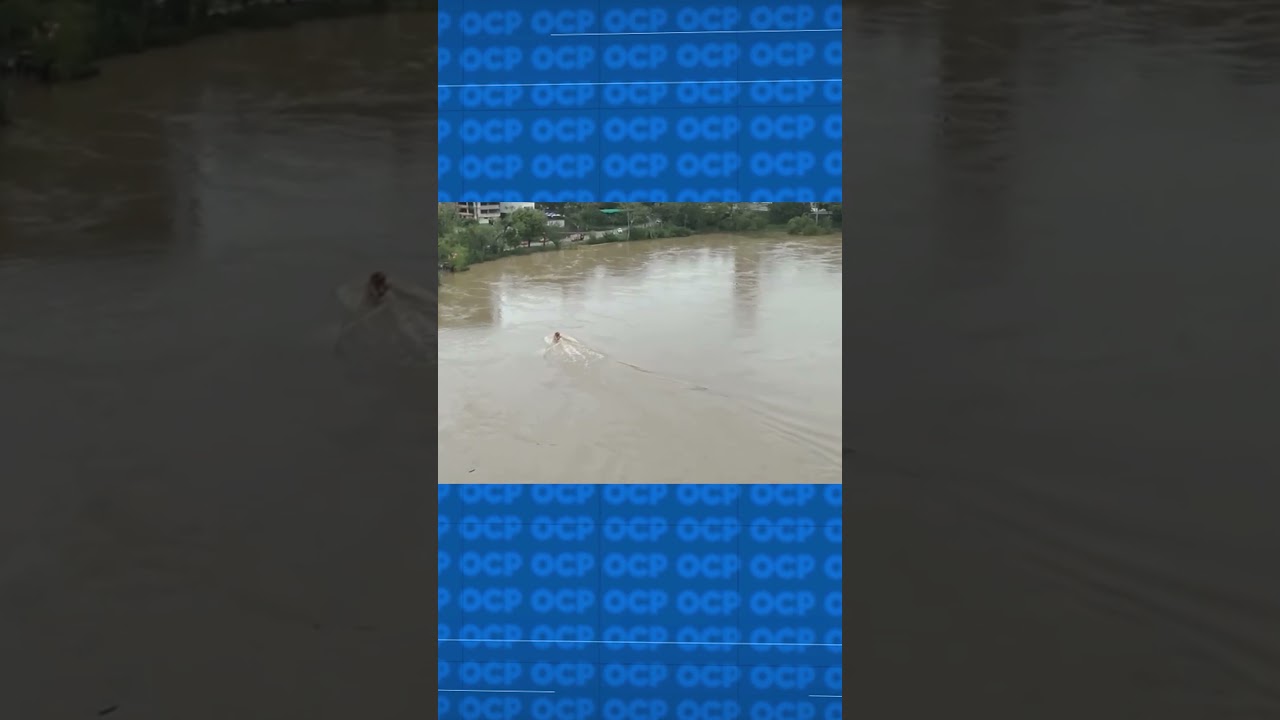 Homem morre afogado ao cair no rio Itajaí Açu, em Blumenau