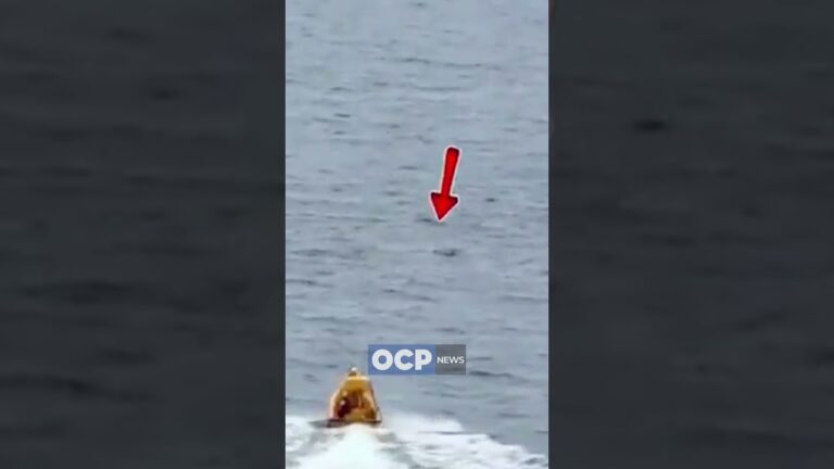 Menina cai no mar durante cruzeiro e pai salta para salvá la