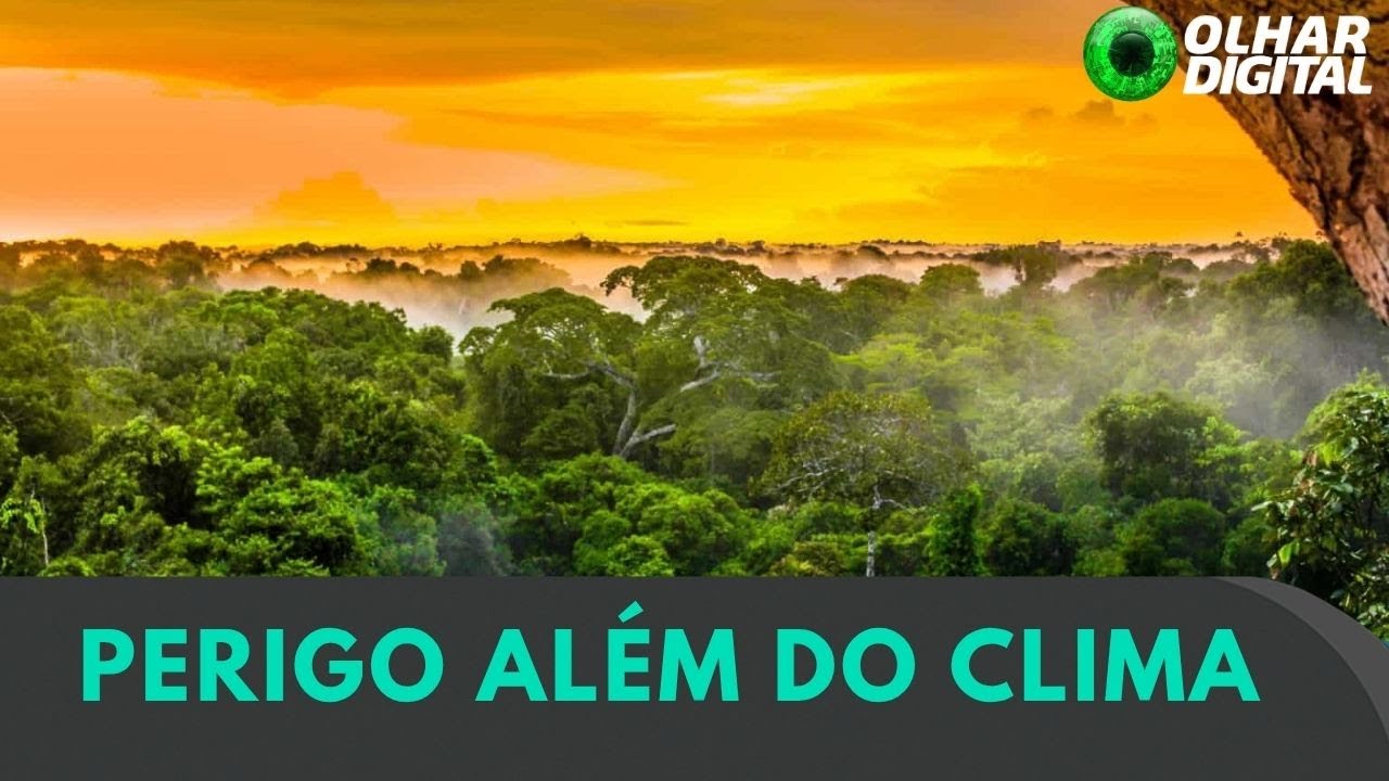 Mudanças climáticas podem ampliar casos de doença endêmica no Brasil