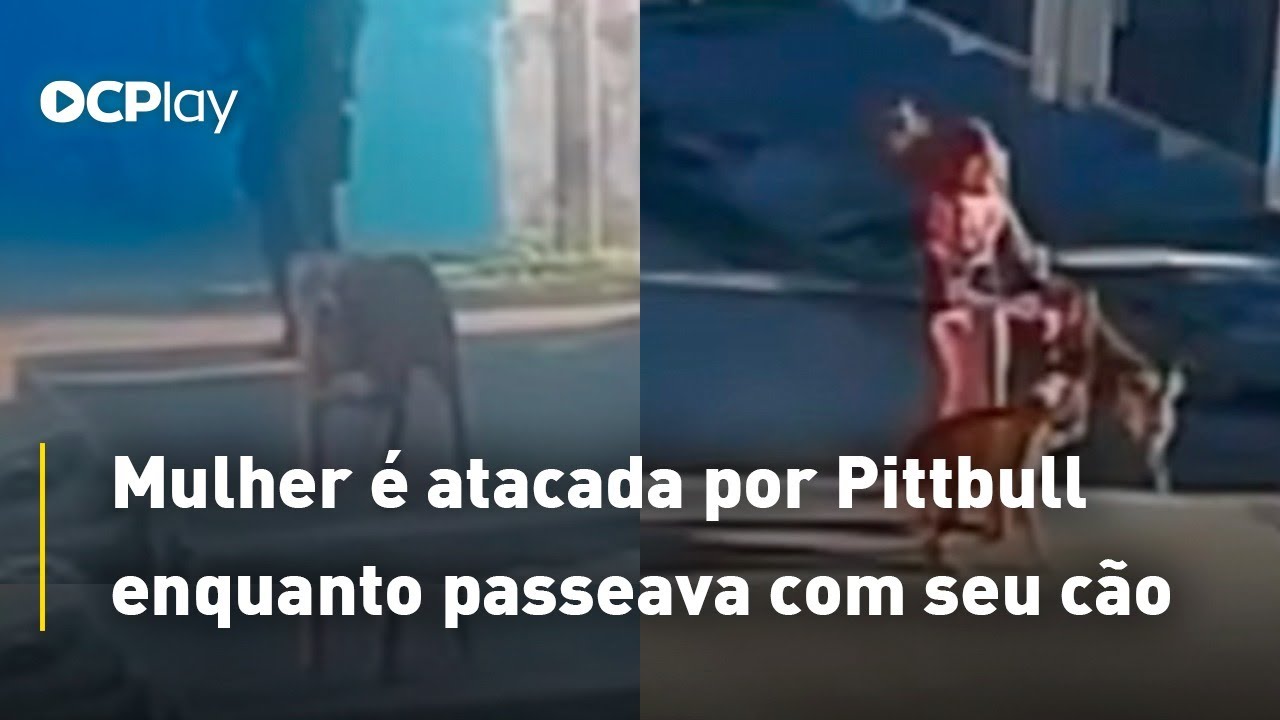 Mulher é atacada por Pittbull enquanto passeava com seu cão