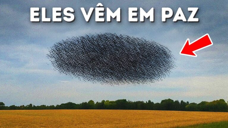 Se há isto no céu, algo grande está por vir