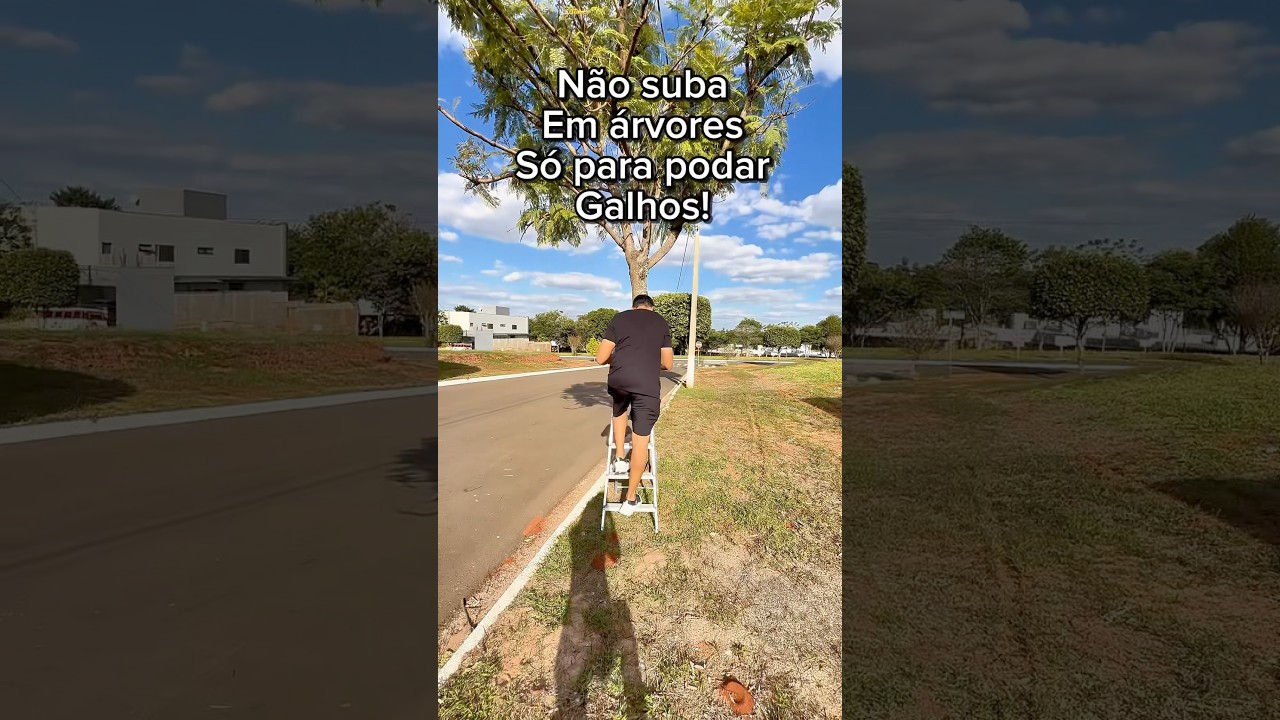 Se você tem jardim e árvores na sua casa você precisa ver esse vídeo