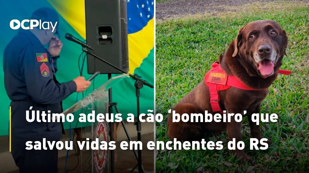 Último adeus a cão ‘bombeiro’ que salvou vidas em enchentes do RS