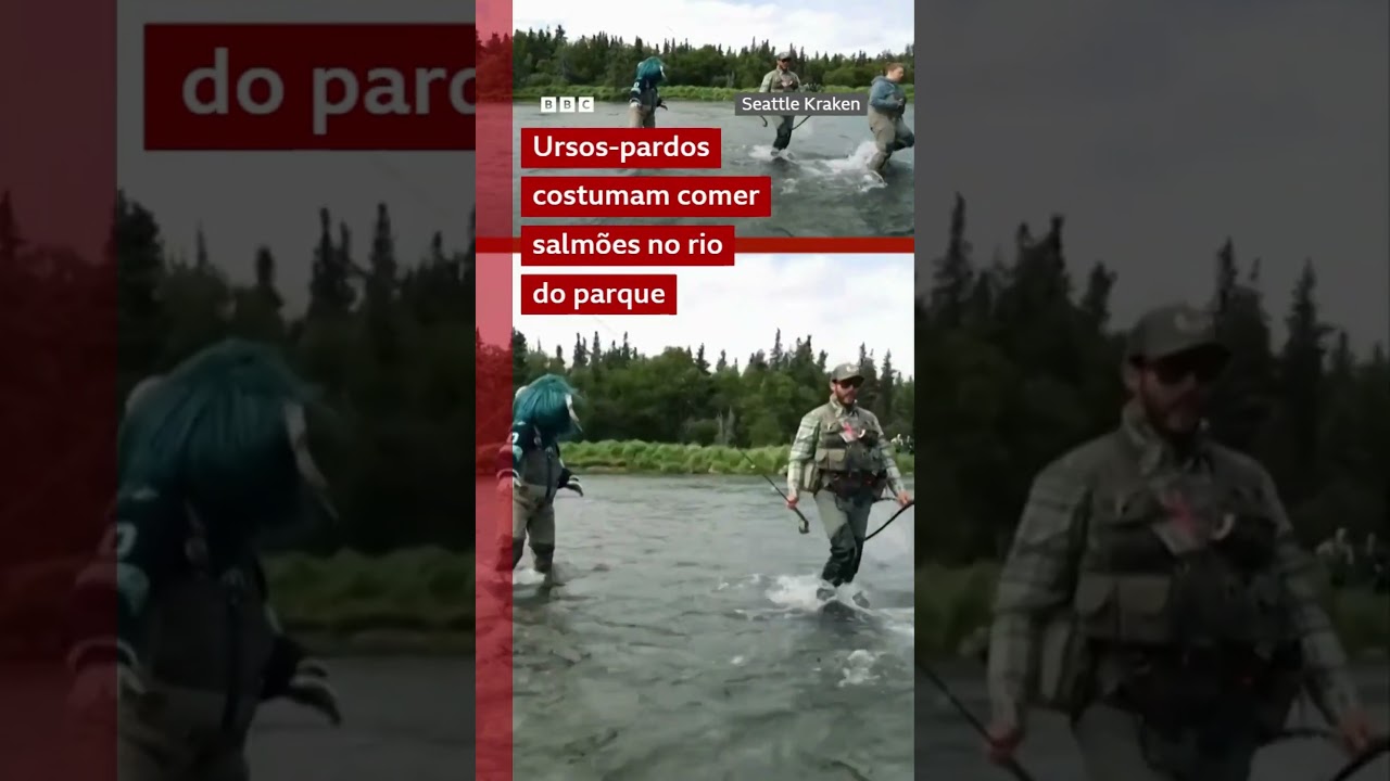 Urso persegue mascote de time de hóquei em parque 🐻🎣