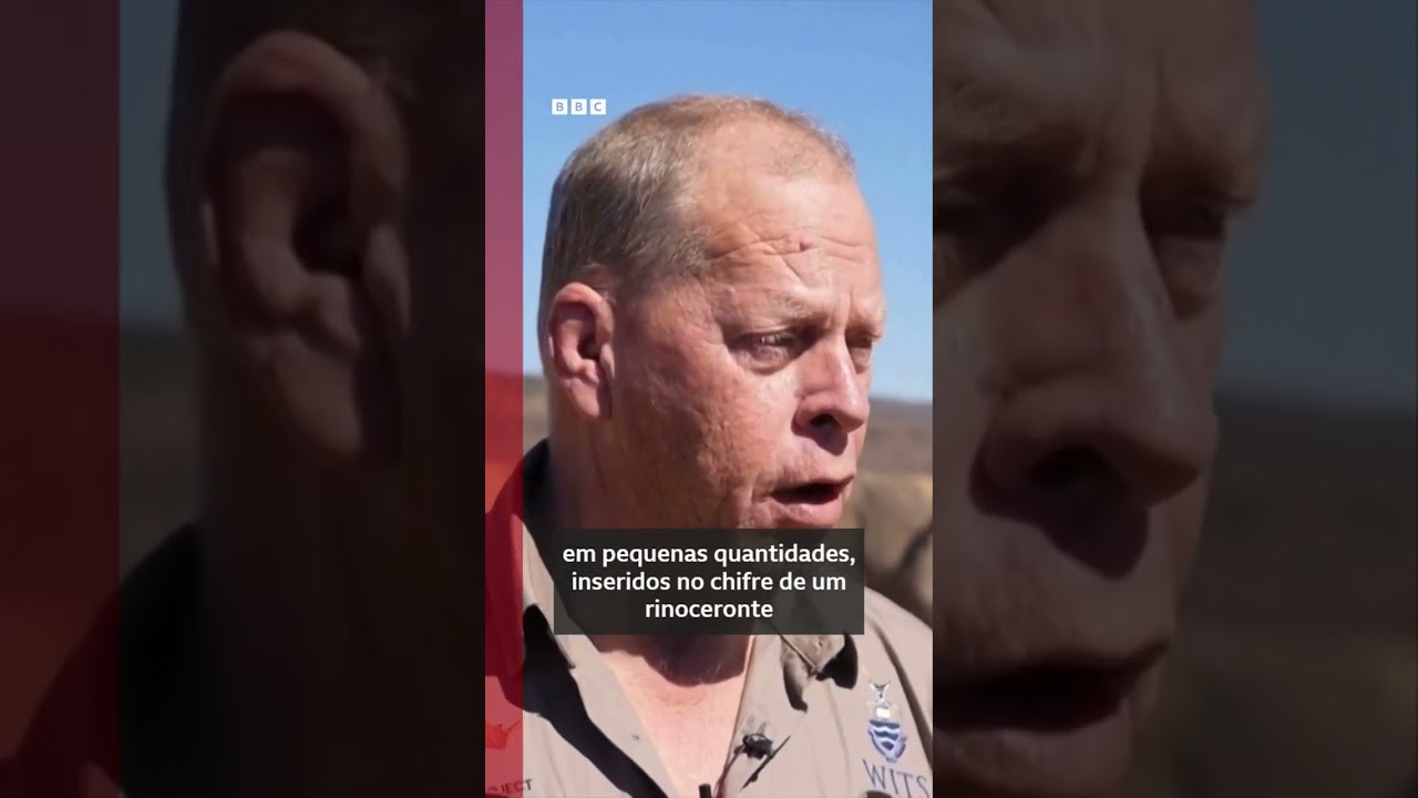 Cientistas usam 'arma radioativa' no combate à caça ilegal de rinocerontes