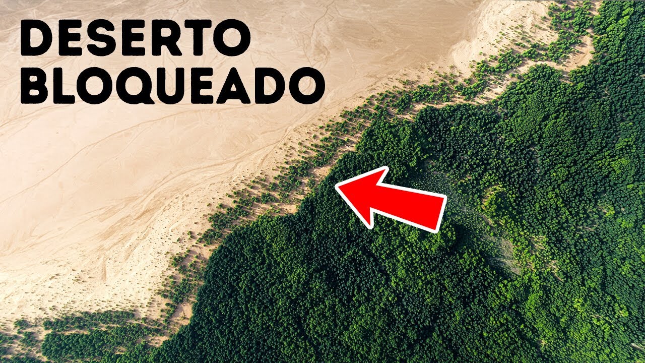 Este País Removeu Toneladas de Areia do Deserto, mas Por Quê?