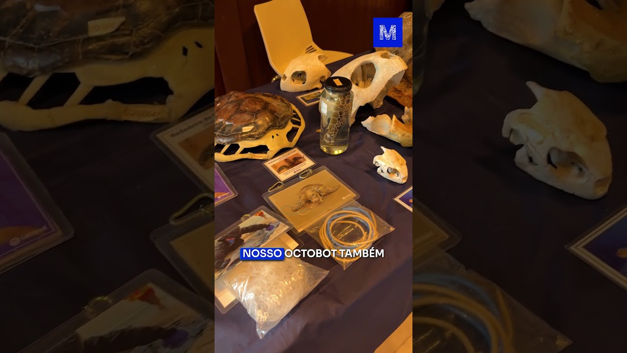 FEIRA de PROFISSÕES da PETROBRAS