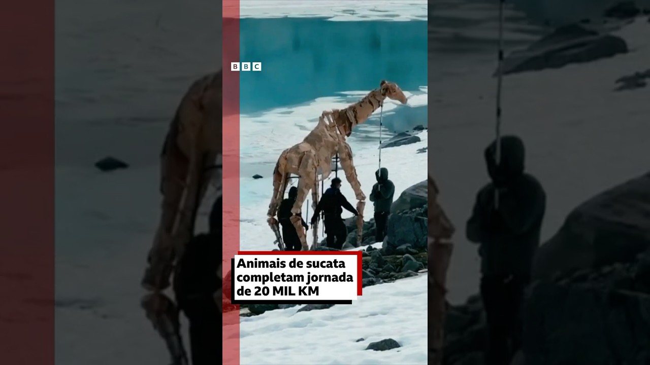 Da floresta ao gelo: eles percorreram 20 mil km com animais de sucata 🐘🦒🦍