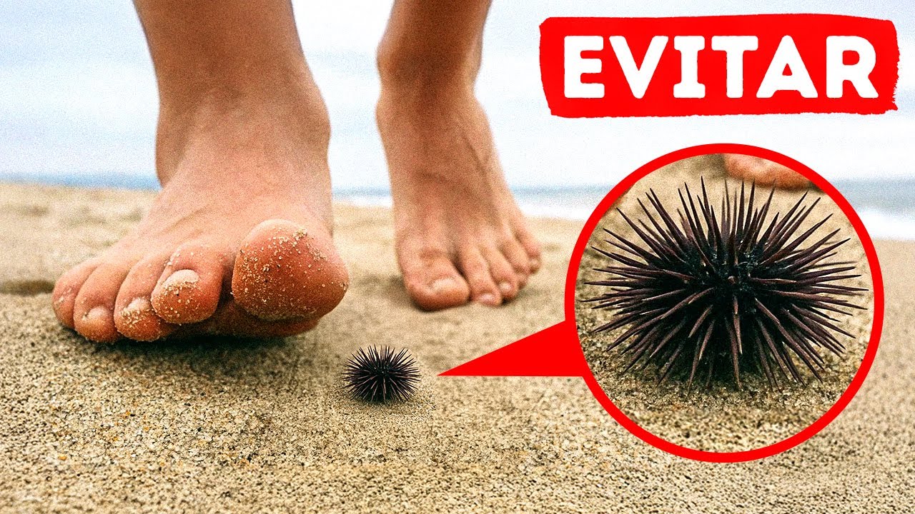 Se você pisar nisso, talvez seja tarde demais para fugir