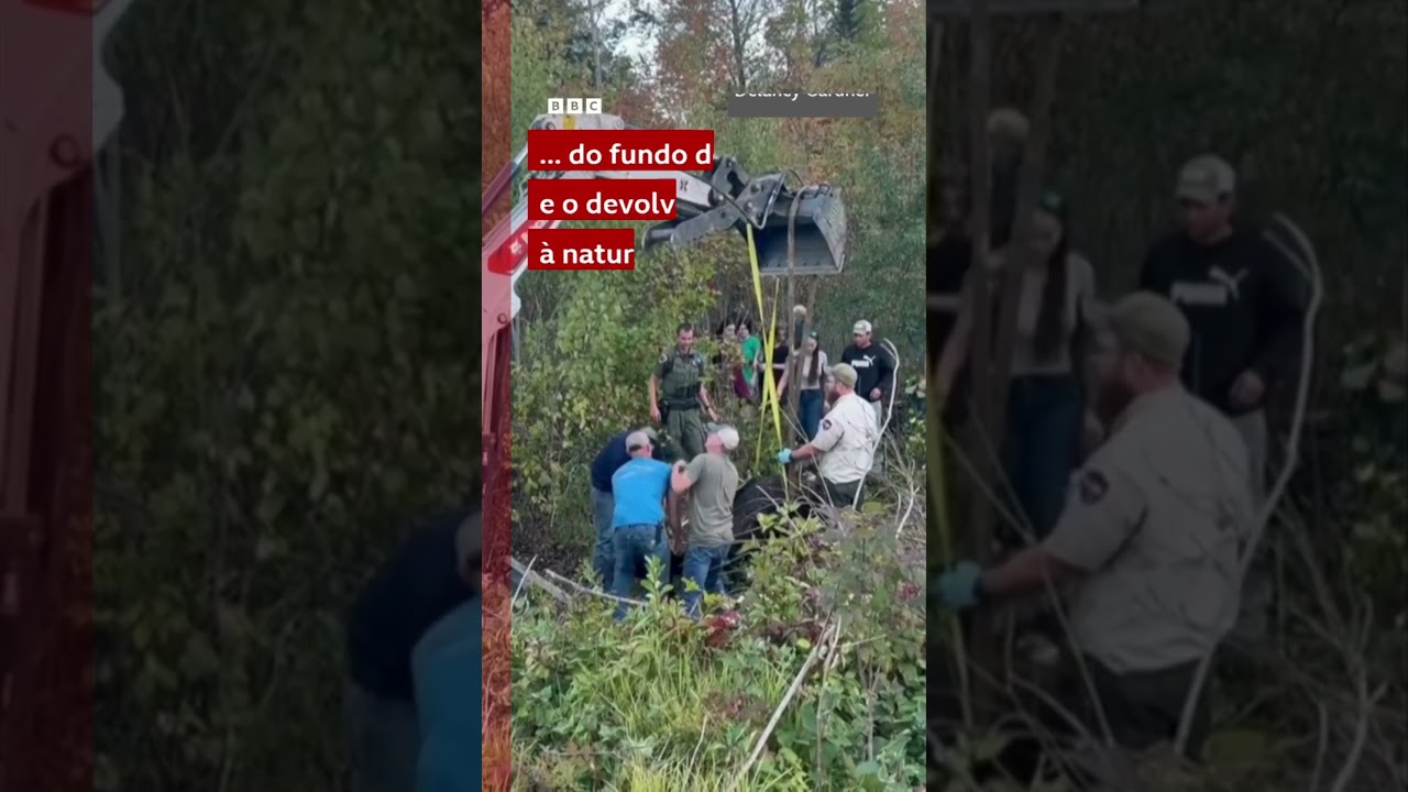 O resgate de um alce em um poço de 3 metros nos EUA 🫎⚠️