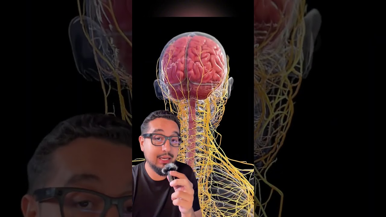 Se você acelerar áudio no WhatsApp cuidado isso pode ser prejudicial pra saúde