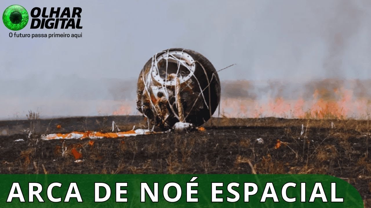 “Arca de Noé” retorna à Terra com mais de 1,5 mil moscas e 75 camundongos