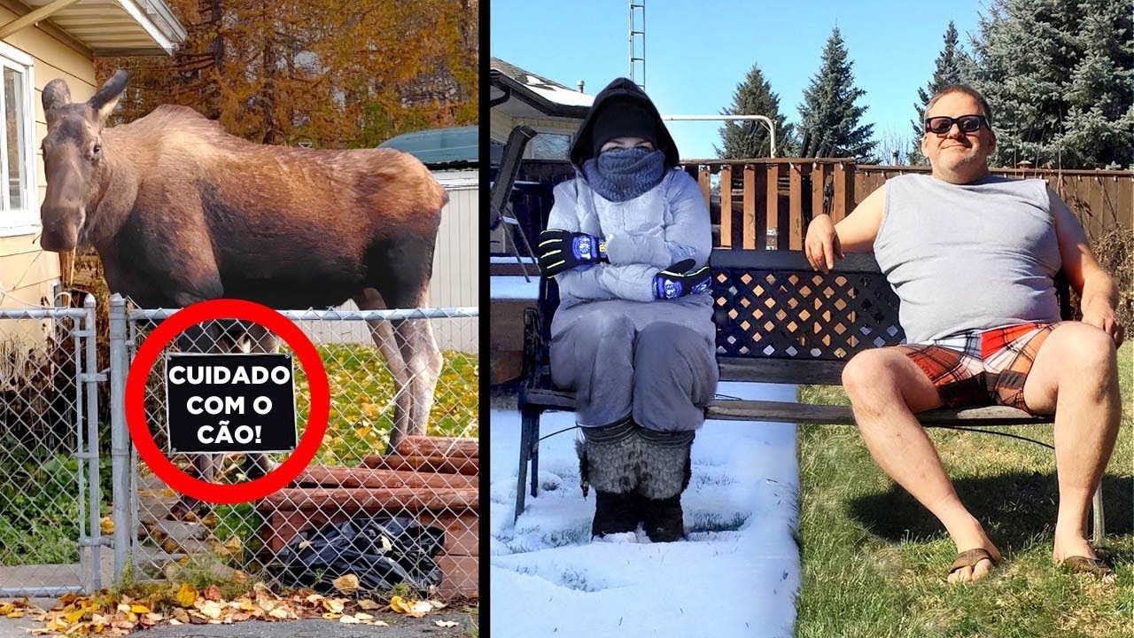 Coisas Estranhas Que Só Existem No Canadá