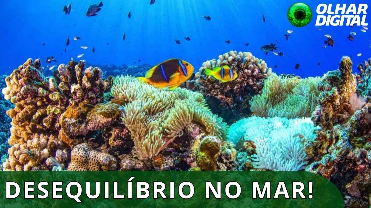 O oceano está em risco? Fenômeno vital falha pela 1ª vez e acende alerta de mudanças climáticas