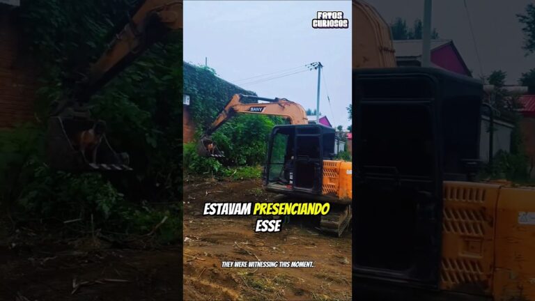 ESSE OPERADOR EMOCIONOU A TODOS AO DEIXAR SEU CACHORRO BASTANTE FELIZ