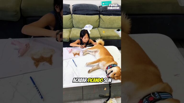 GAROTINHA INTELIGENTE IMPRESSIONA A TODOS COM SUA IDEIA BRILHANTE