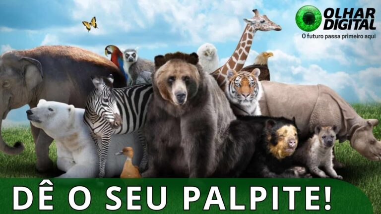 Qual é o maior carnívoro do mundo?