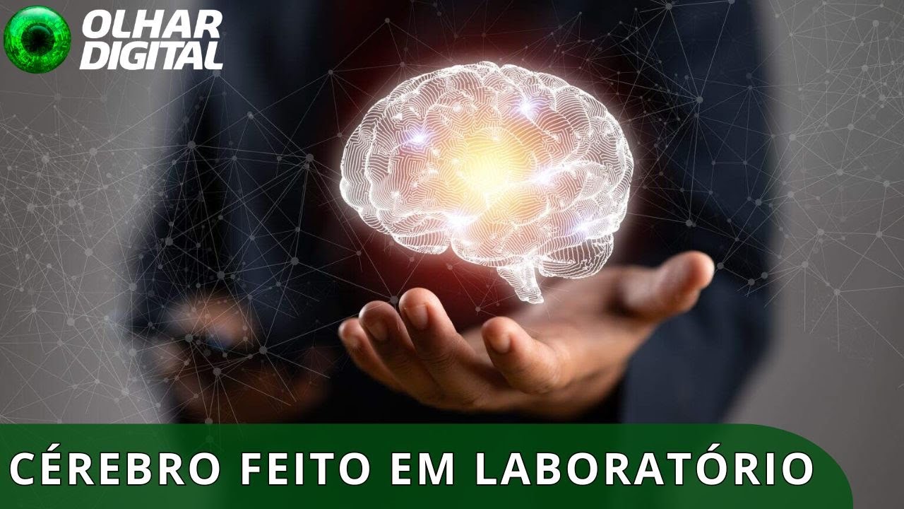 Minicérebros no Brasil: A pesquisa que pode revolucionar o tratamento da depressão.