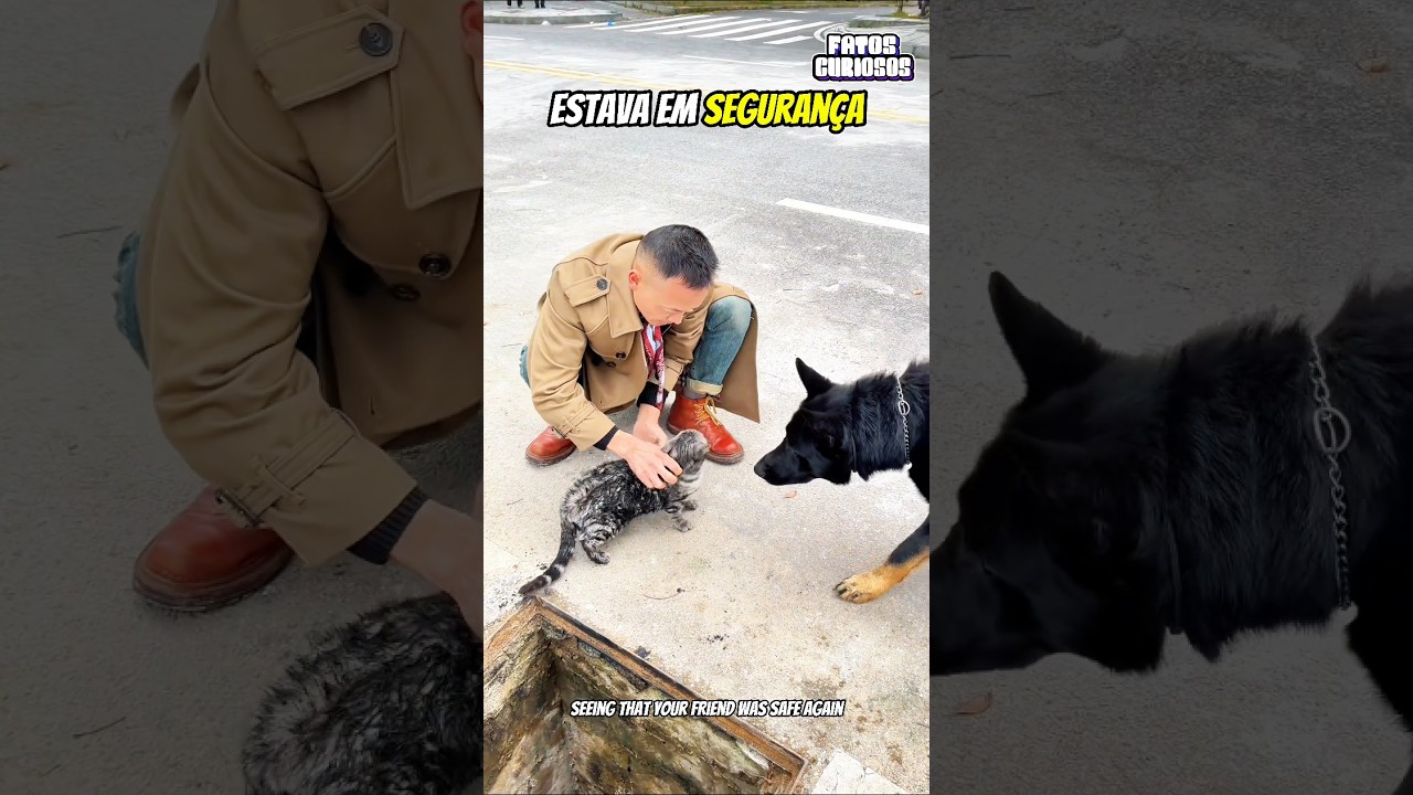 A ATITUDE SURPREENDENTE DESSE CACHORRINHO EMOCIONOU A TODOS