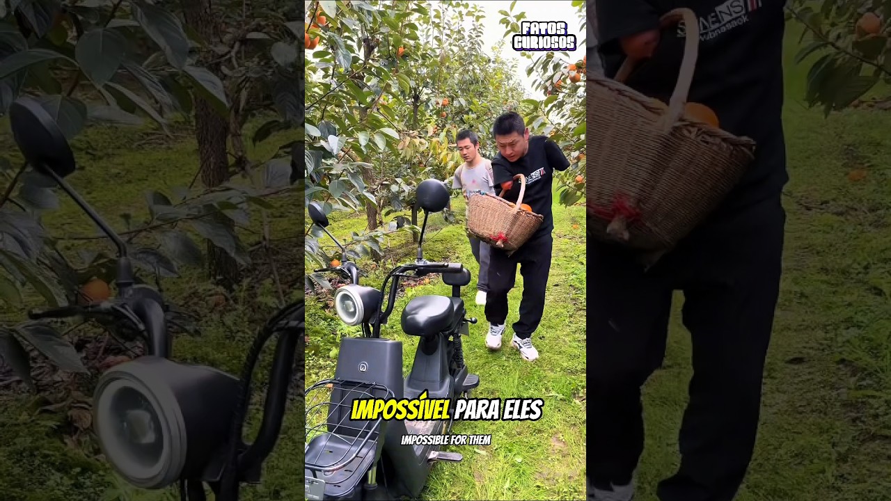 APESAR DAS DURAS CRÍTICAS ESSES GAROTOS IMPRESSIONARAM A TODOS