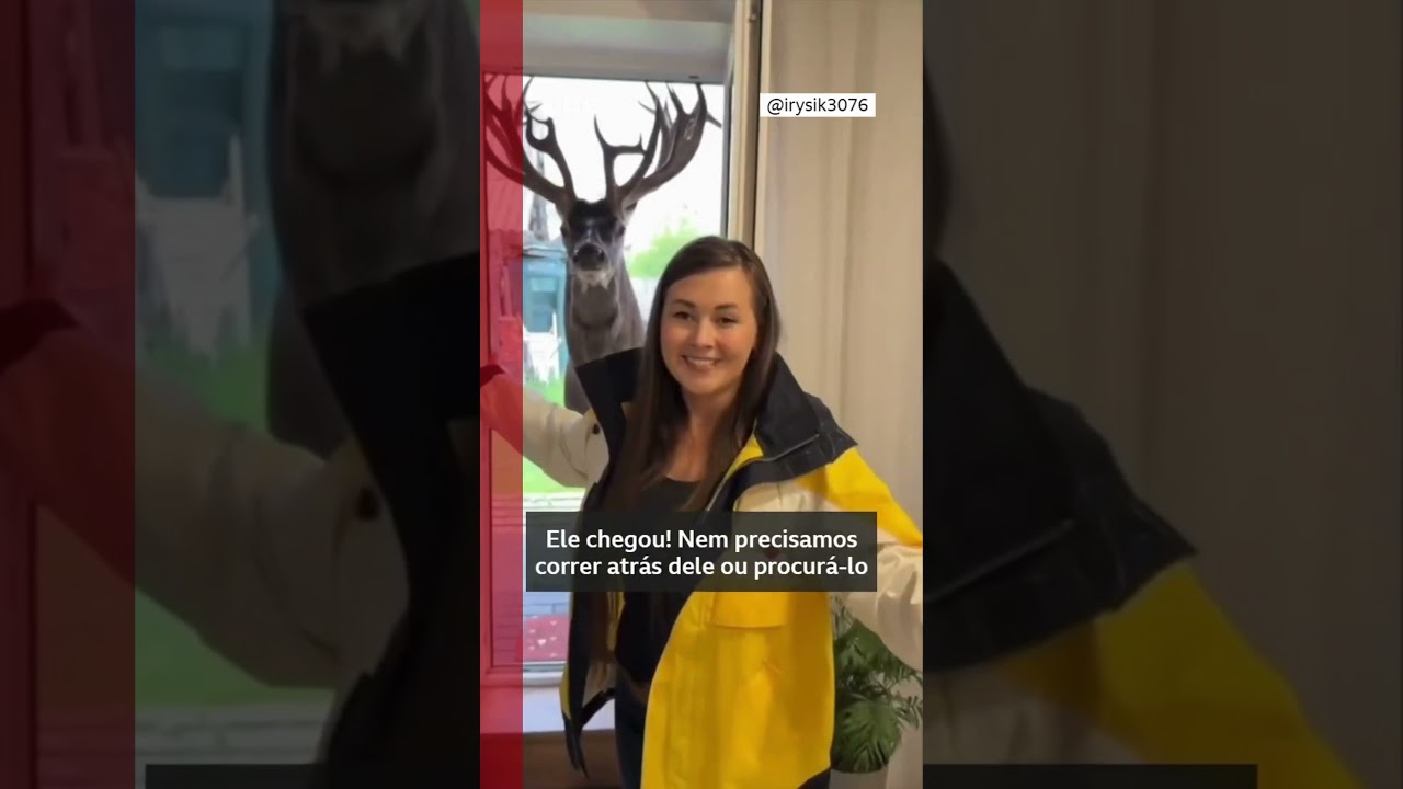 Conheça Borys... 🫎💖