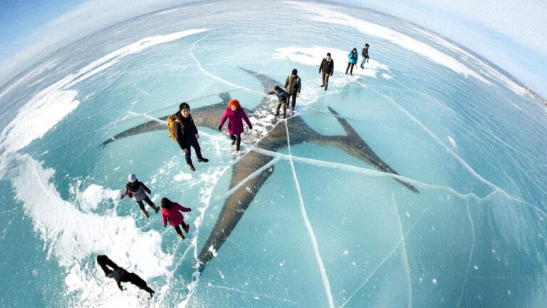 Criatura antiga descoberta sob o gelo e outros achados científicos raros