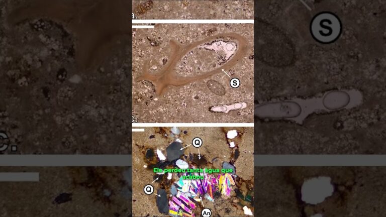 Mar Vermelho revela marcas de um dos eventos mais extremos da Terra