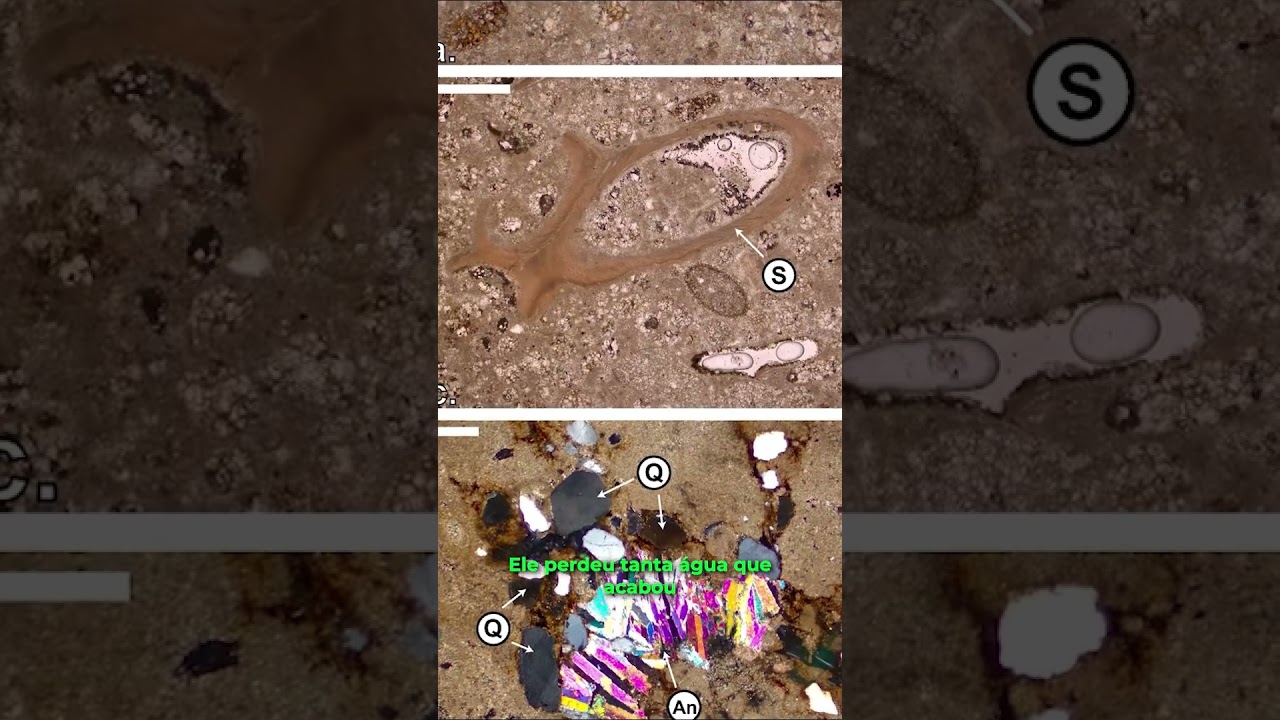 Mar Vermelho revela marcas de um dos eventos mais extremos da Terra