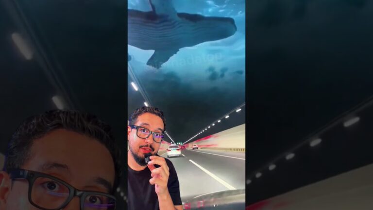 O Brasil terá o primeiro túnel subaquático em Santa Catarina