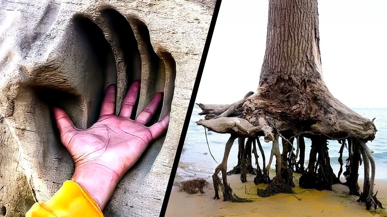 O Poder Do Tempo – Parte 7