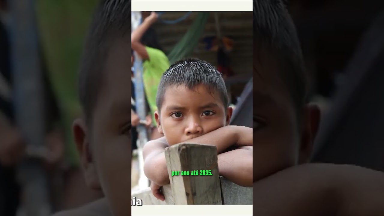 A COP30 chegou ao fim. Quais são os próximos passos?